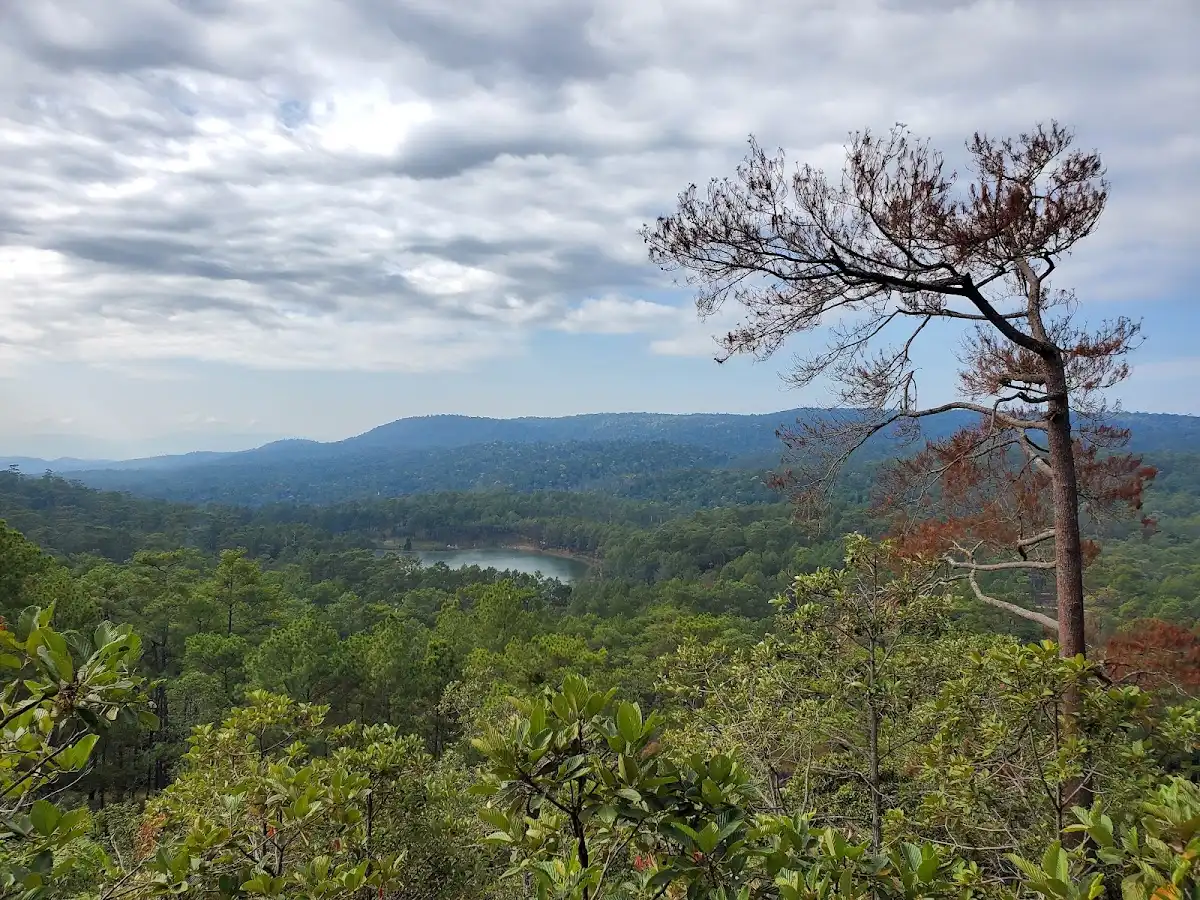 cambodia-hike-kirirom-pine-forest-trail