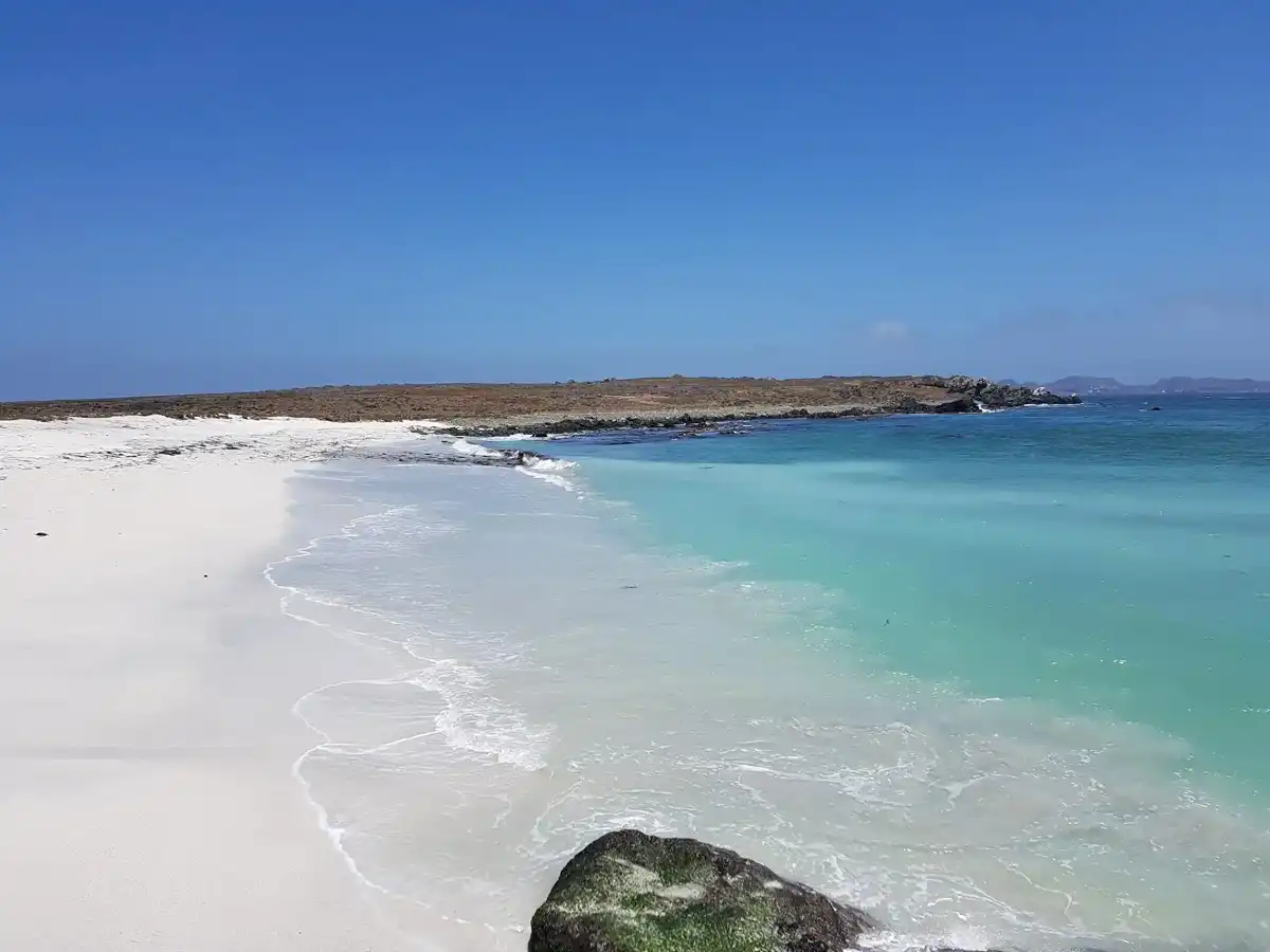 chile-city-punta-de-choros