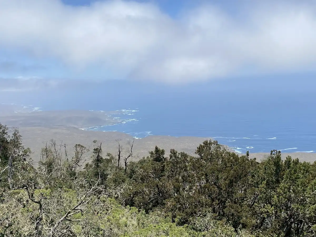 chile-national-park-bosque-fray-jorge-national-park