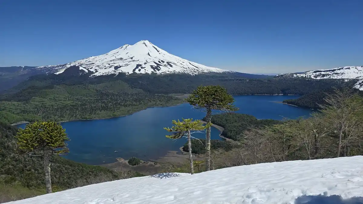 chile-national-park-conguillio-national-park