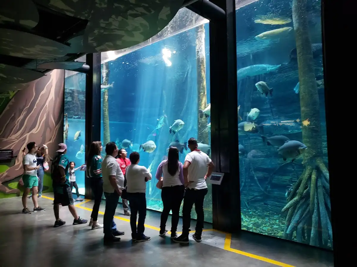 colombia-attraction-parque-explora v1