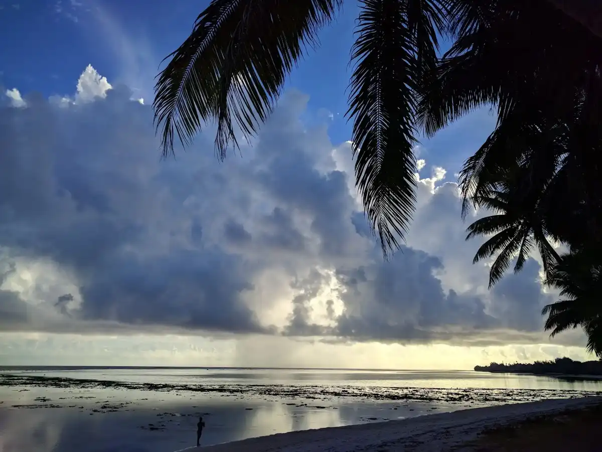 cook-islands-national-park-takitumu-conservation-area