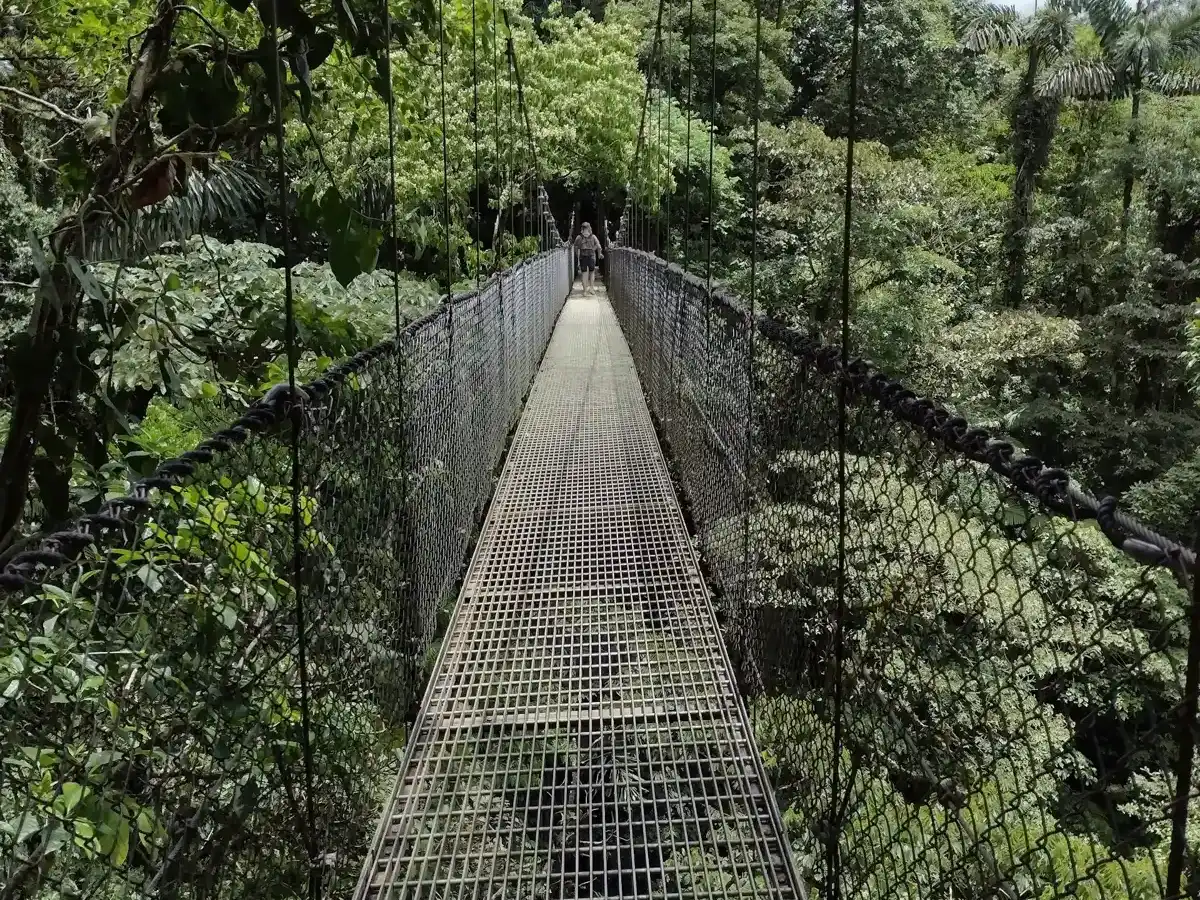 costa-rica-hike-mistico-hanging-bridges