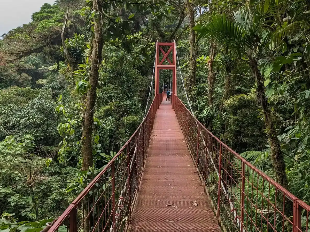 costa-rica-national-park-monteverde-cloud-forest-reserve