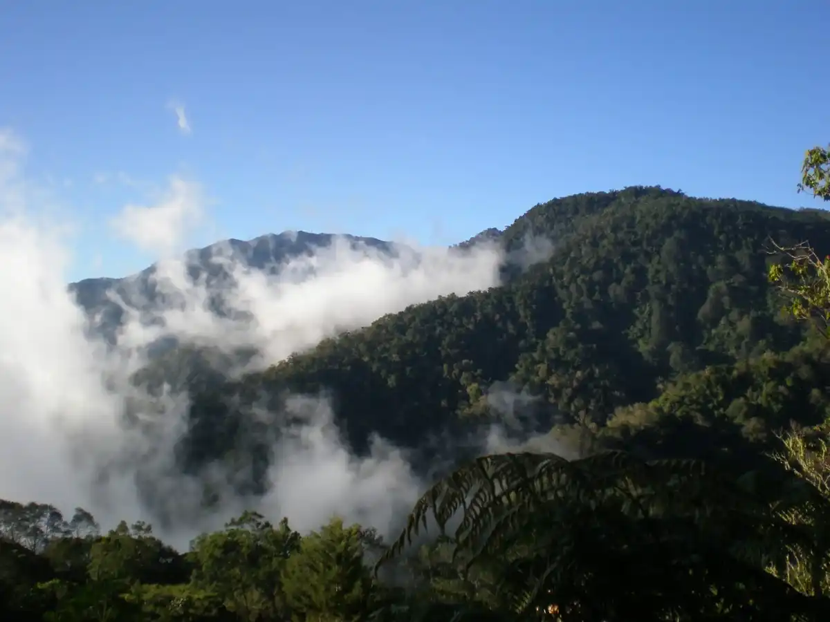costa-rica-unique-site-cerro-de-la-muerte