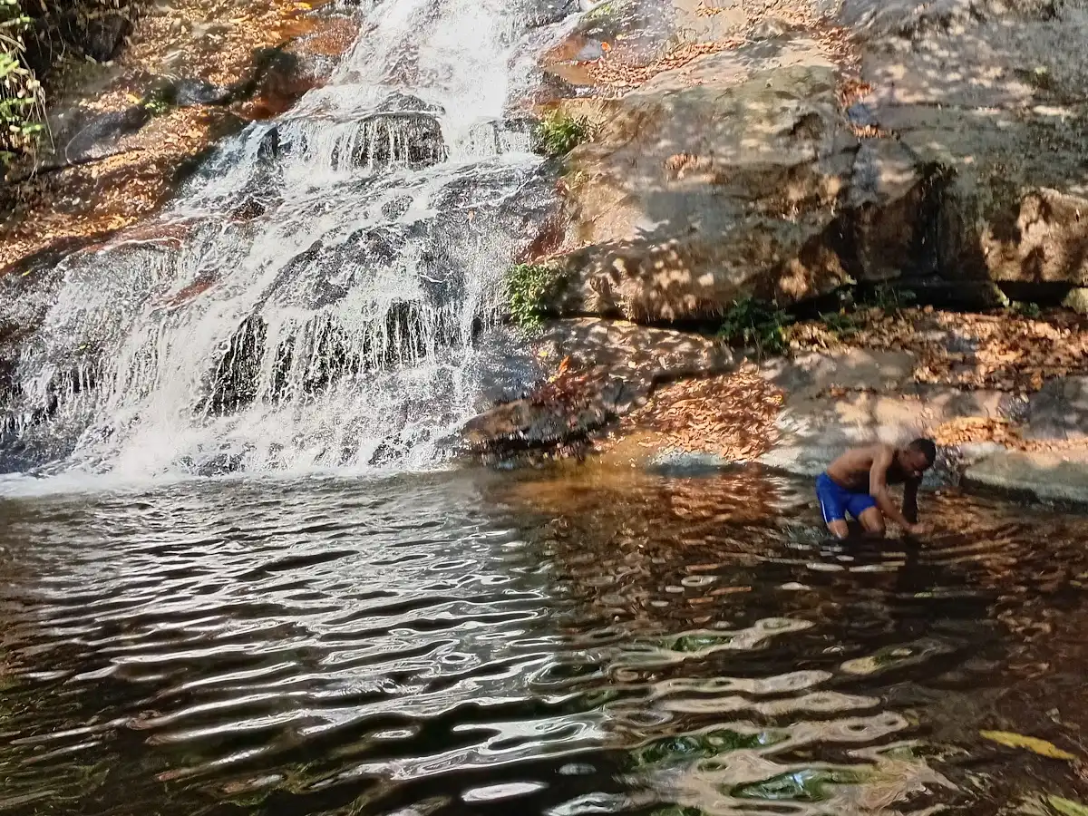 cote-divoire-hike-mount-nimba-trail
