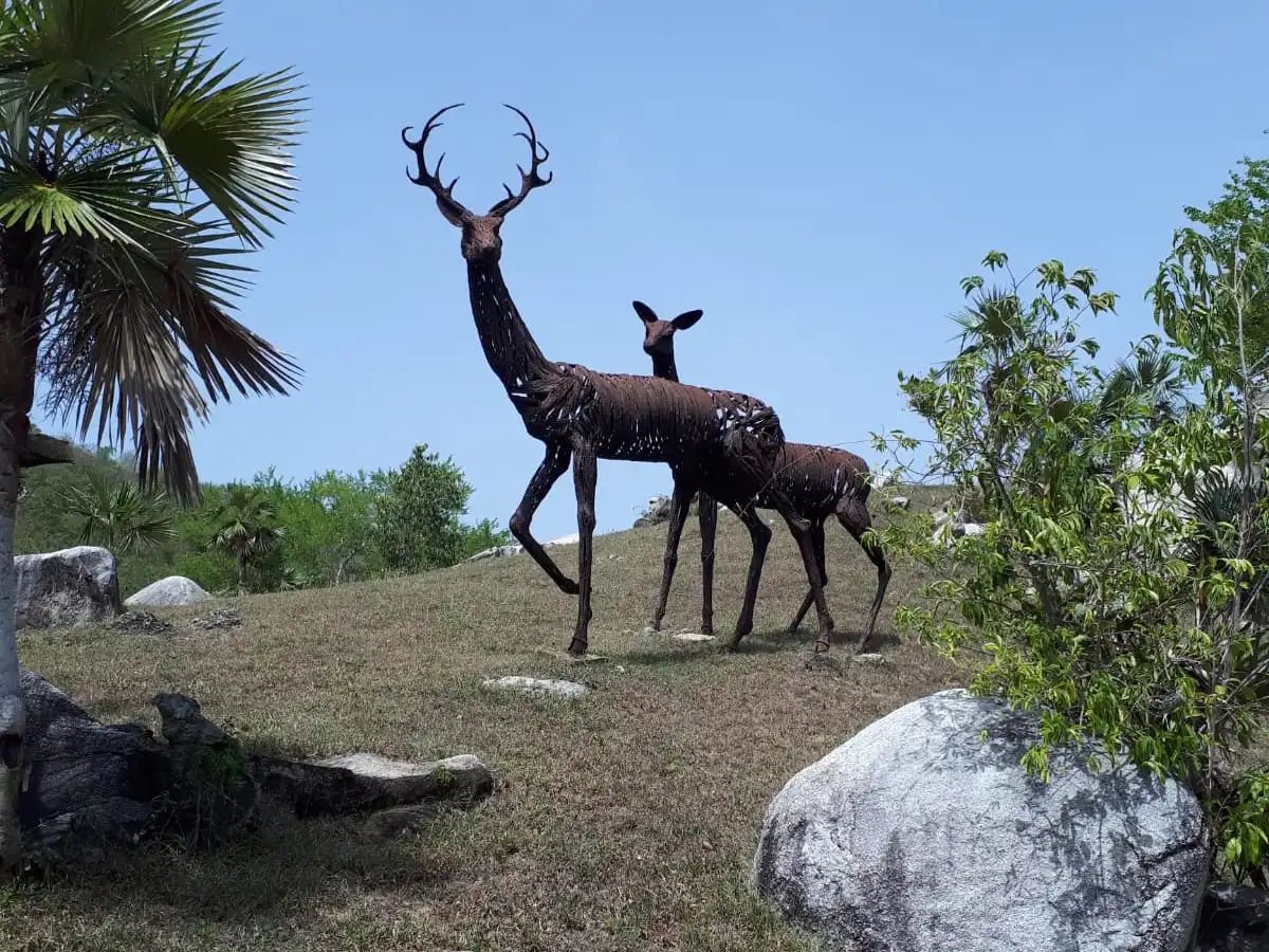 cuba-national-park-parque-baconao
