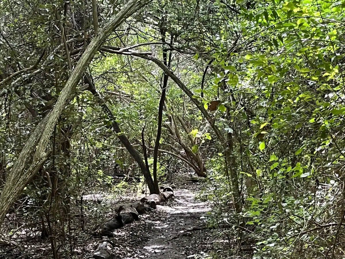 curacao-national-park-den-dunki-national-park v1