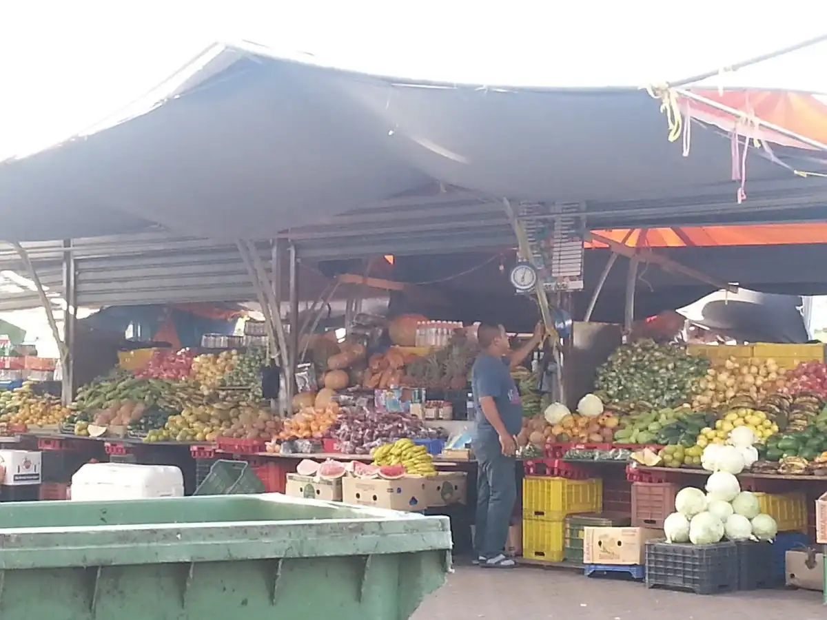curacao-unique-site-willemstads-floating-market
