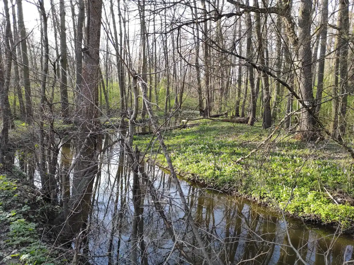 czechia-national-park-cesky-raj