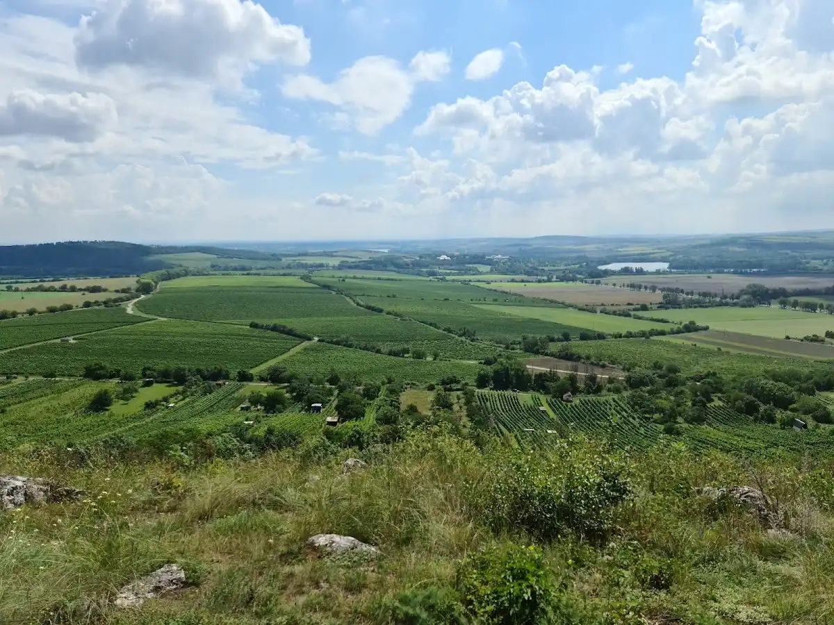 czechia-national-park-palava-protected-landscape-area