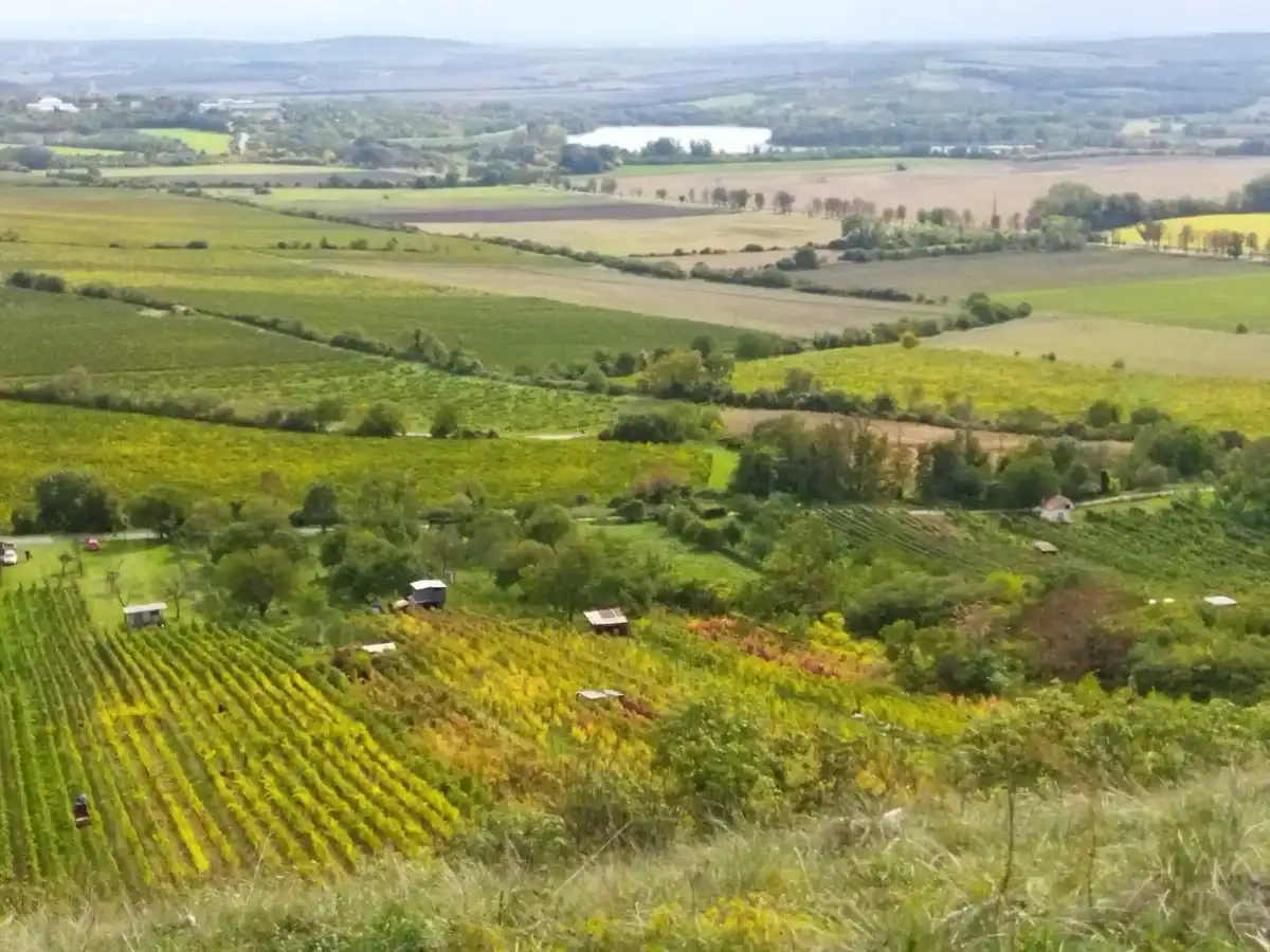 czechia-region-palava-hills