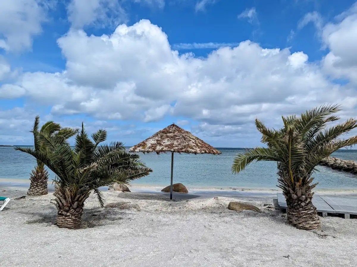 denmark-beach-palm-beach-frederikshavn