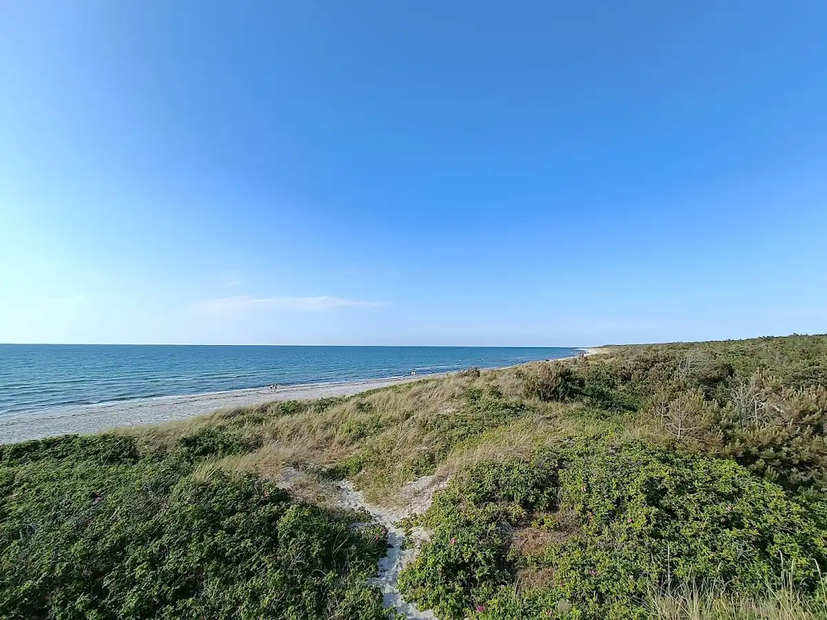 denmark-beach-rorvig-strand