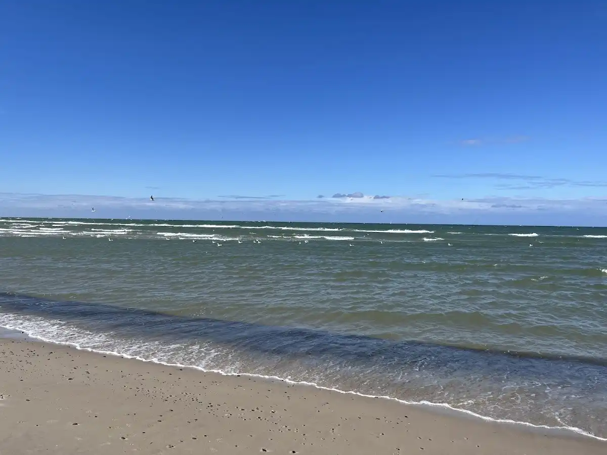 denmark-beach-skagen-beach