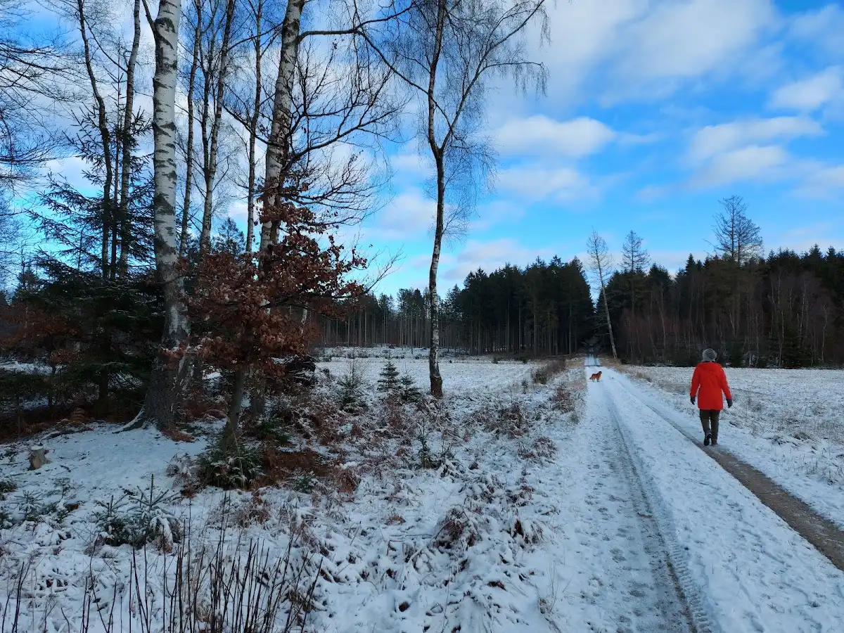 denmark-national-park-gribskov