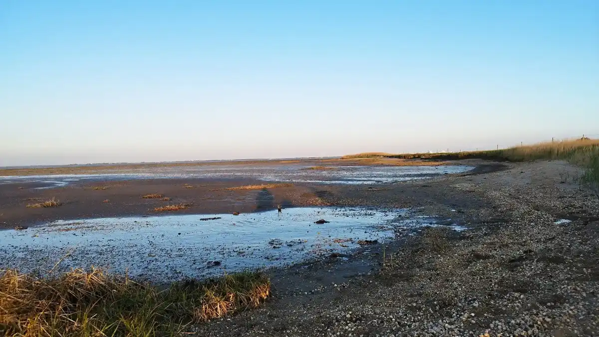 denmark-national-park-wadden-sea-national-park