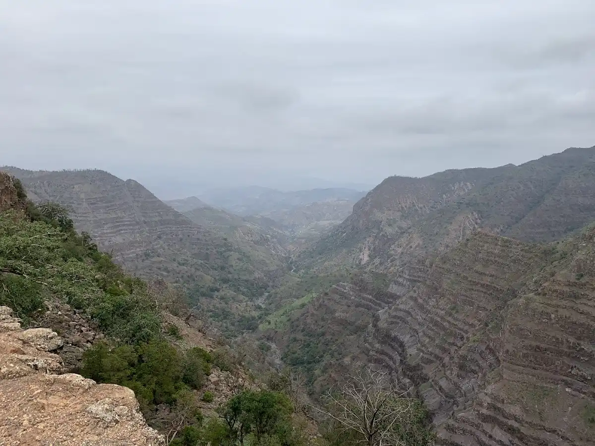 djibouti-national-park-goda-mountains-national-park
