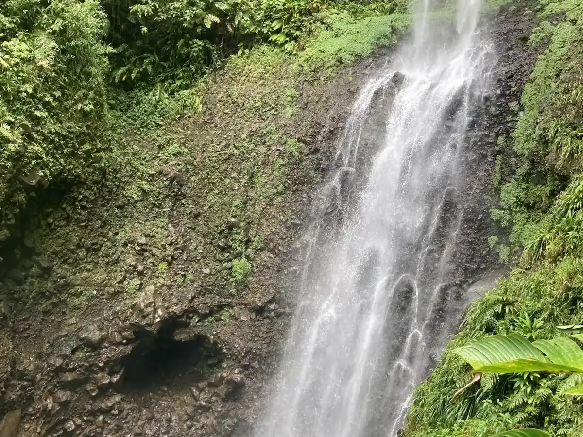 dominica-hike-middleham-falls