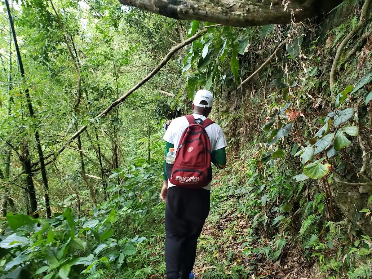 dominica-hike-waitukubuli-national-trail v1
