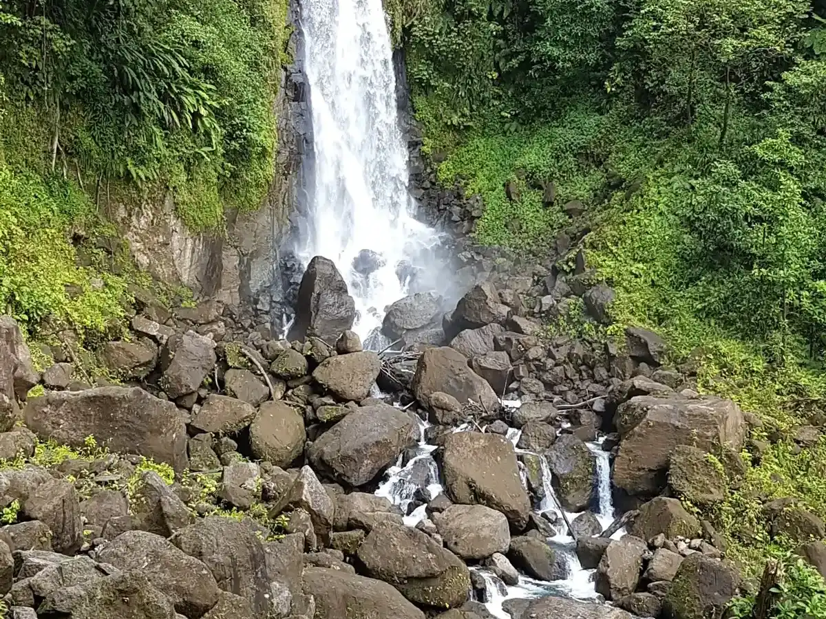 dominica-unique-site-trafalgar-falls