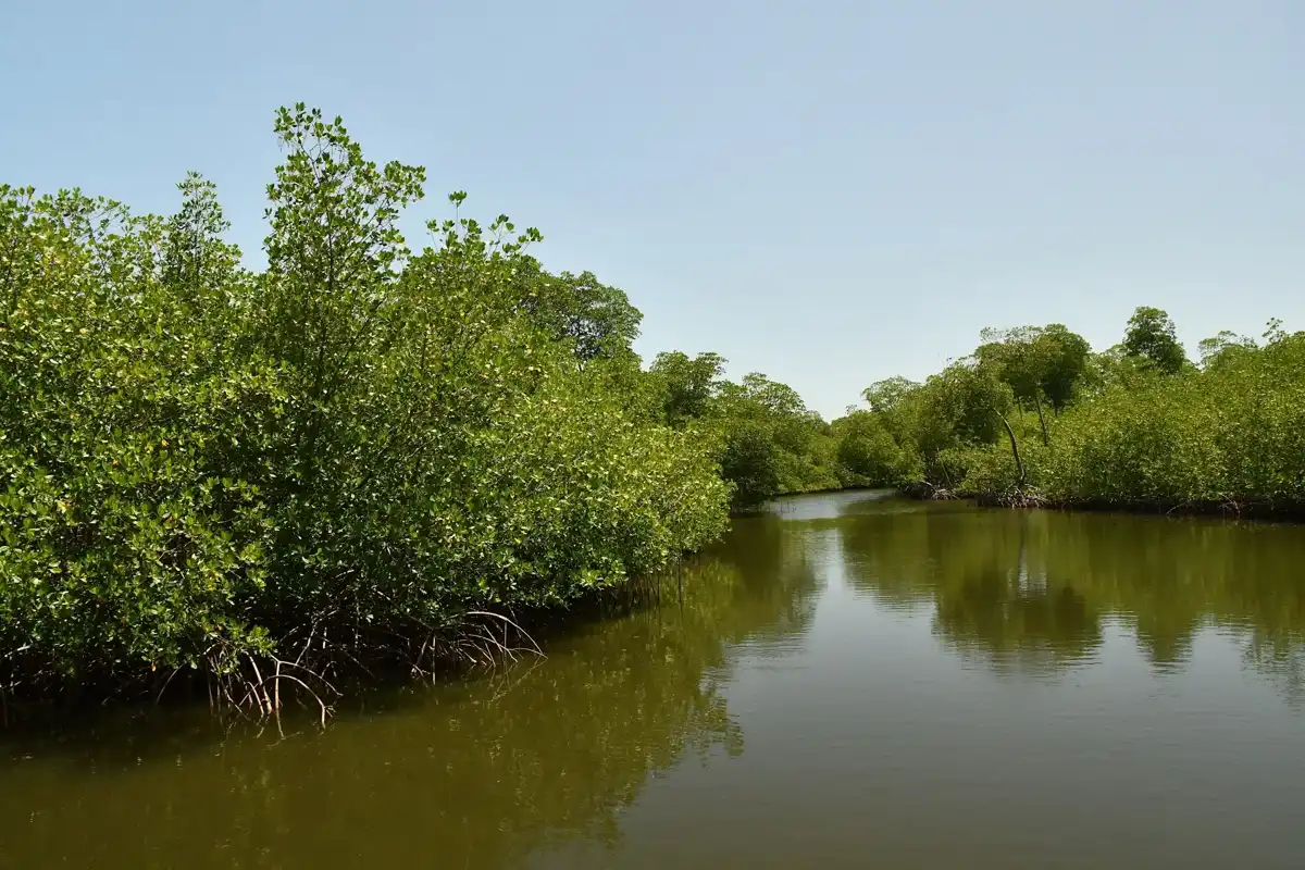 dominican-republic-national-park-los-haitises-national-park