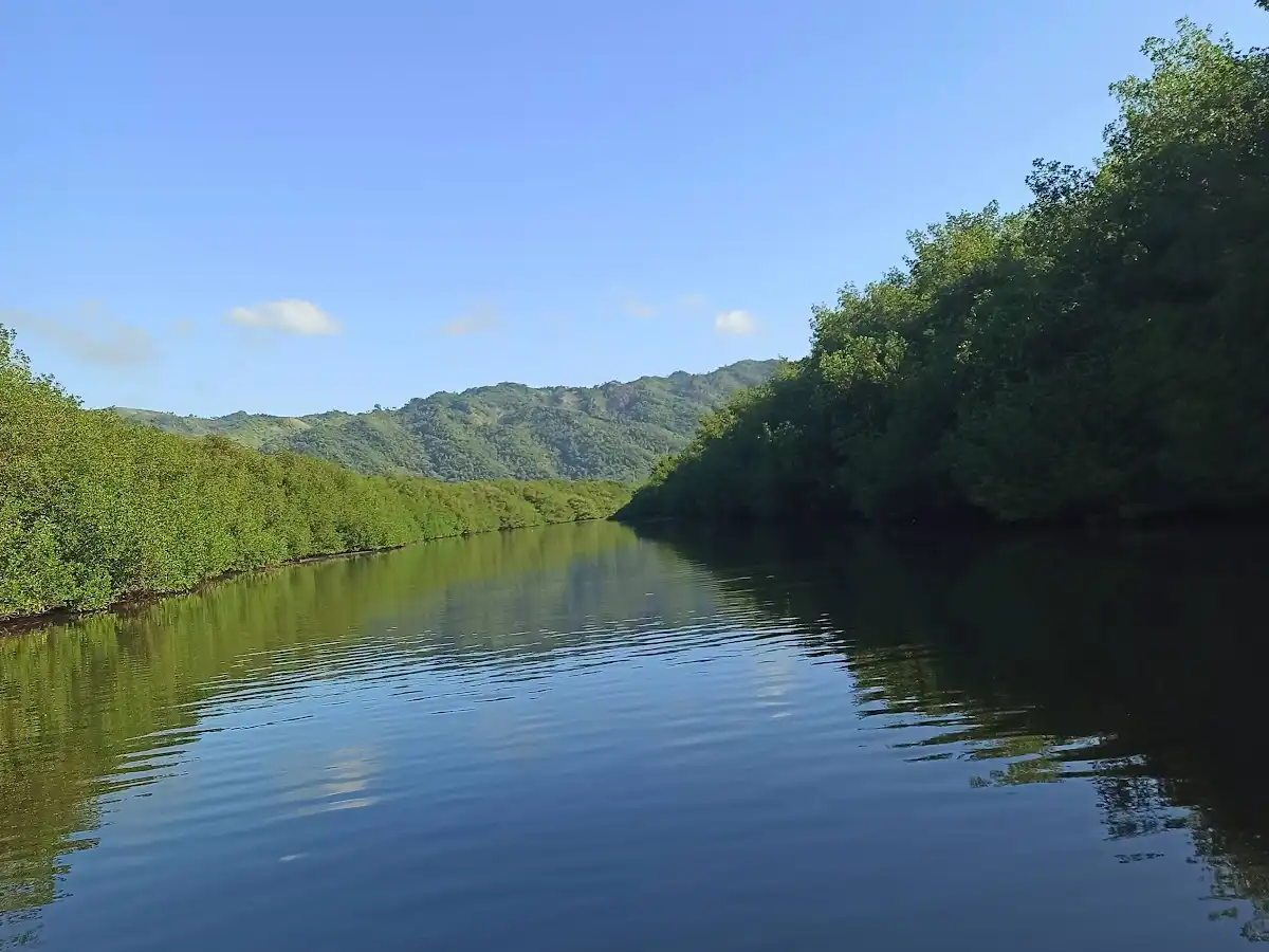 dominican-republic-national-park-parque-nacional-manglares-del-bajo-yuna