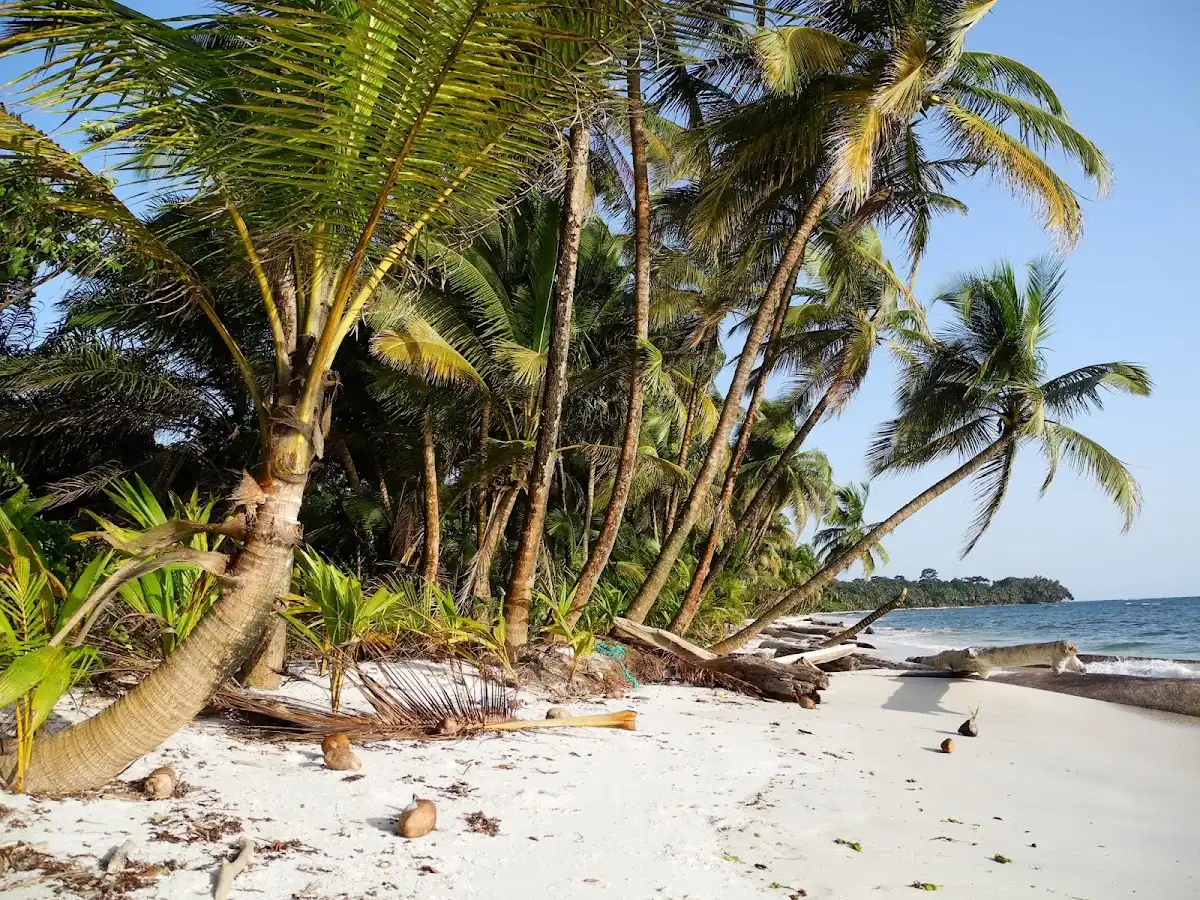 equatorial-guinea-region-isla-de-corisco v1