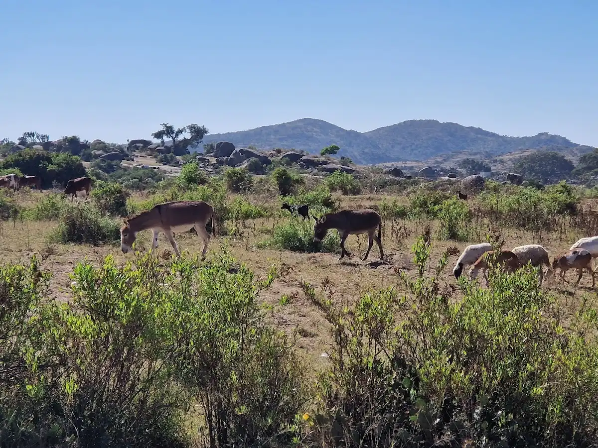 eritrea-national-park-semenawi-bahri-national-park