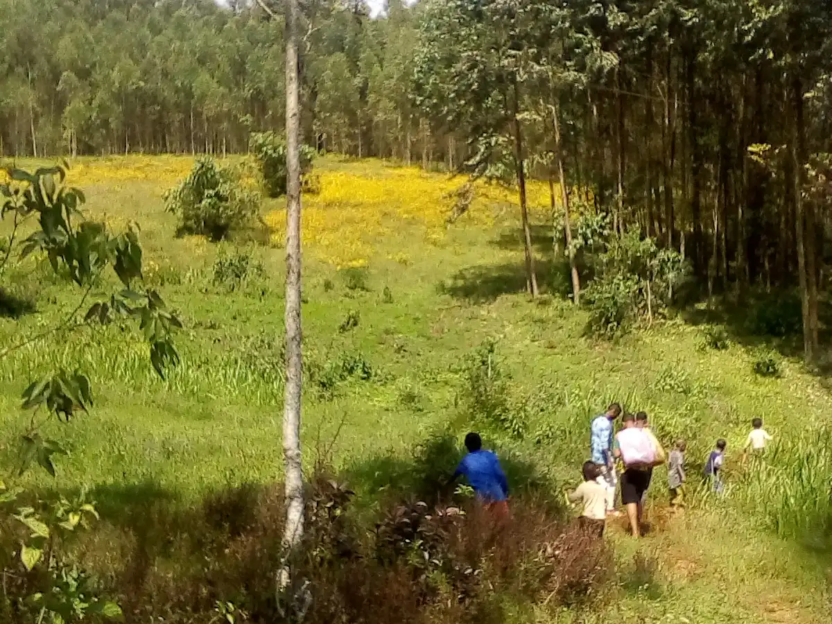 ethiopia-city-metu