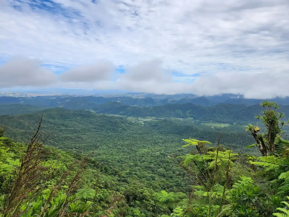 fiji-hike-mount-tomanivi