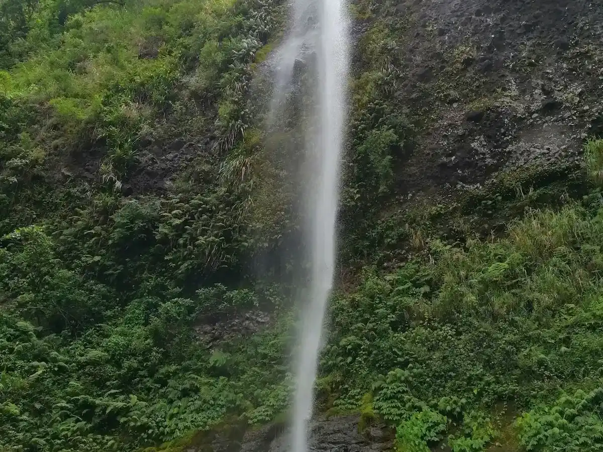 fiji-national-park-koroyanitu-national-heritage-park