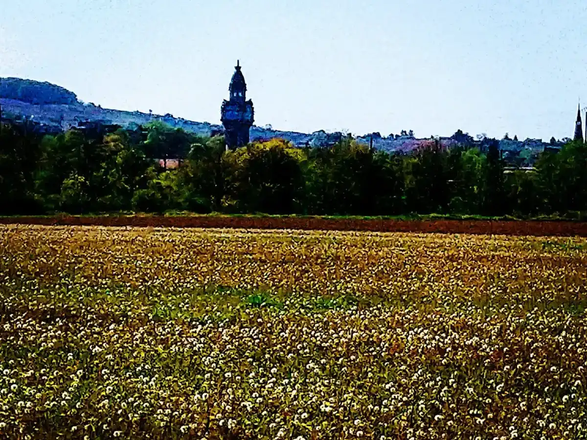 france-city-epernay