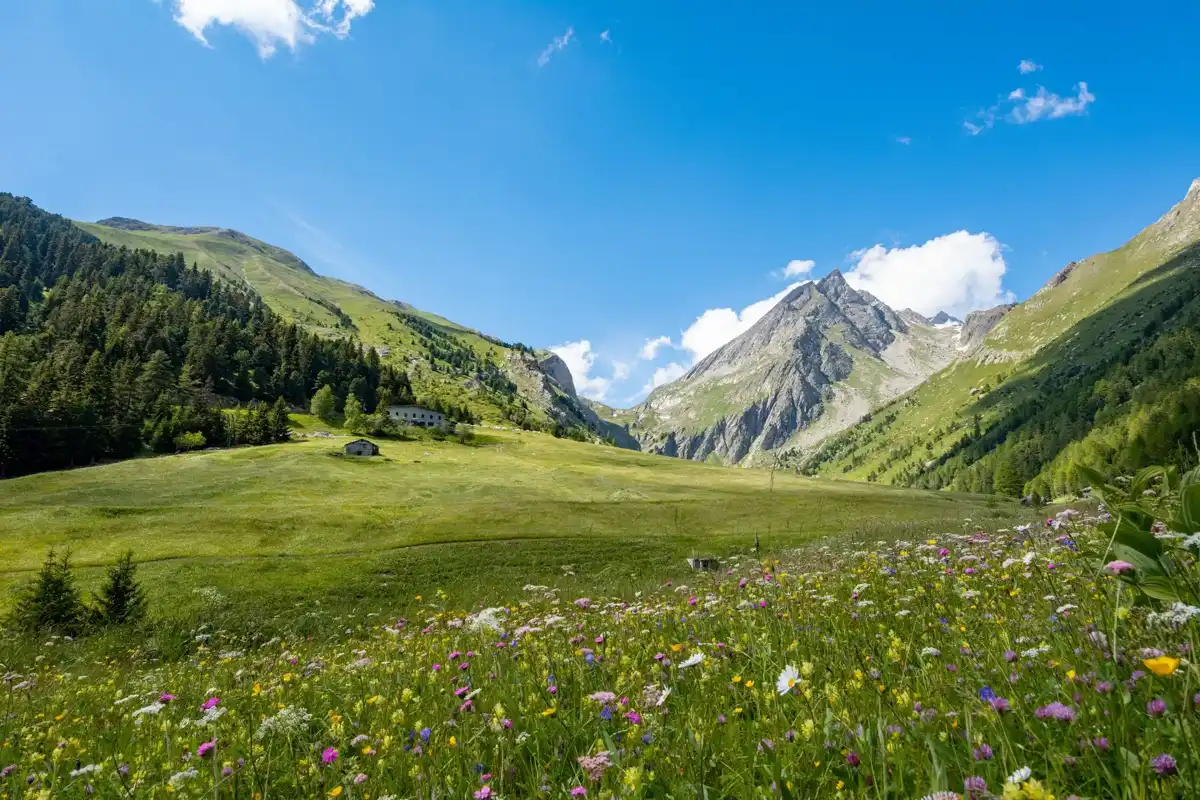 france-national-park-vanoise-national-park