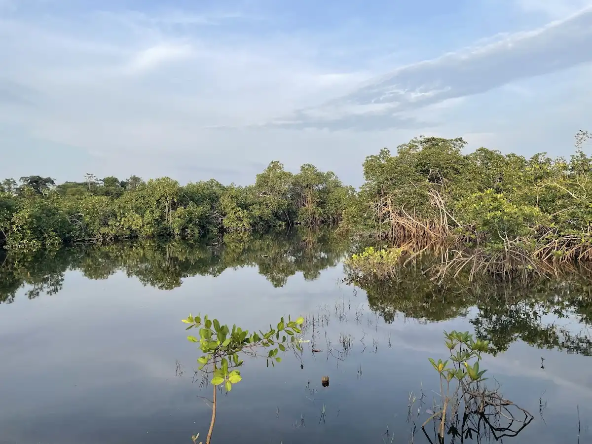 gabon-national-park-akanda-national-park