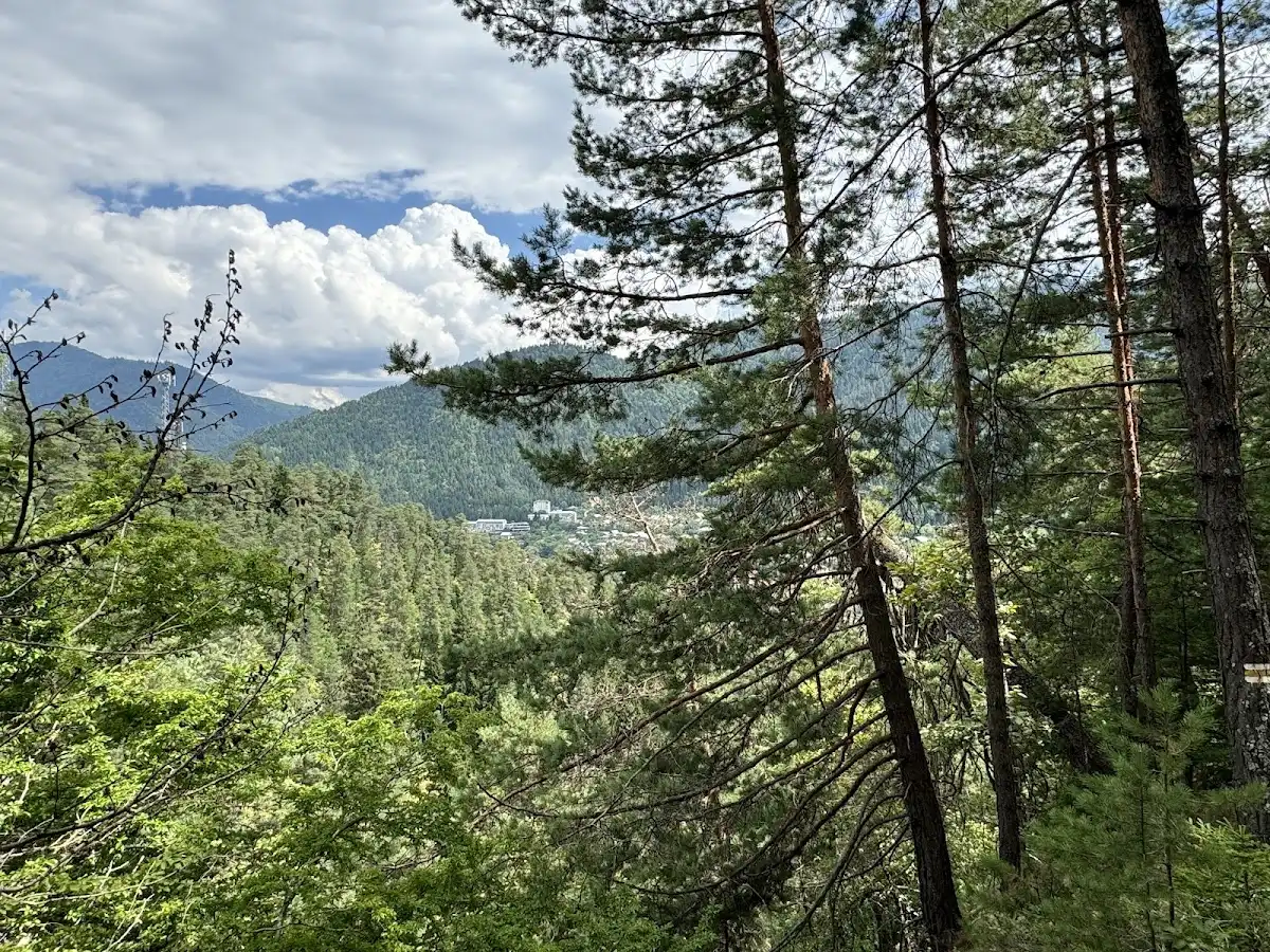 georgia-national-park-borjomi-kharagauli-national-park