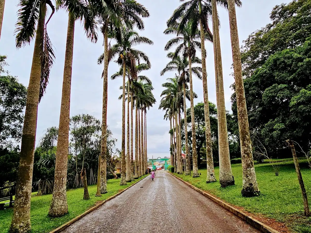 ghana-hike-aburi-botanical-gardens