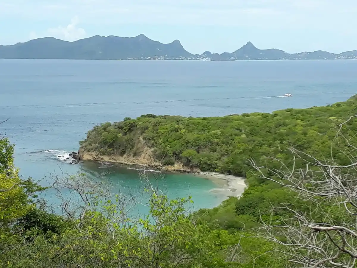 grenada-beach-anse-la-roche-beach