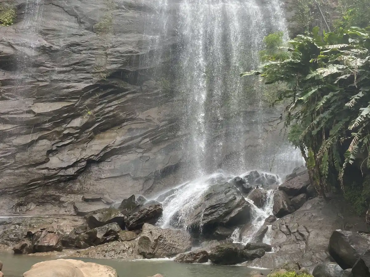 grenada-unique-site-mount-carmel-falls