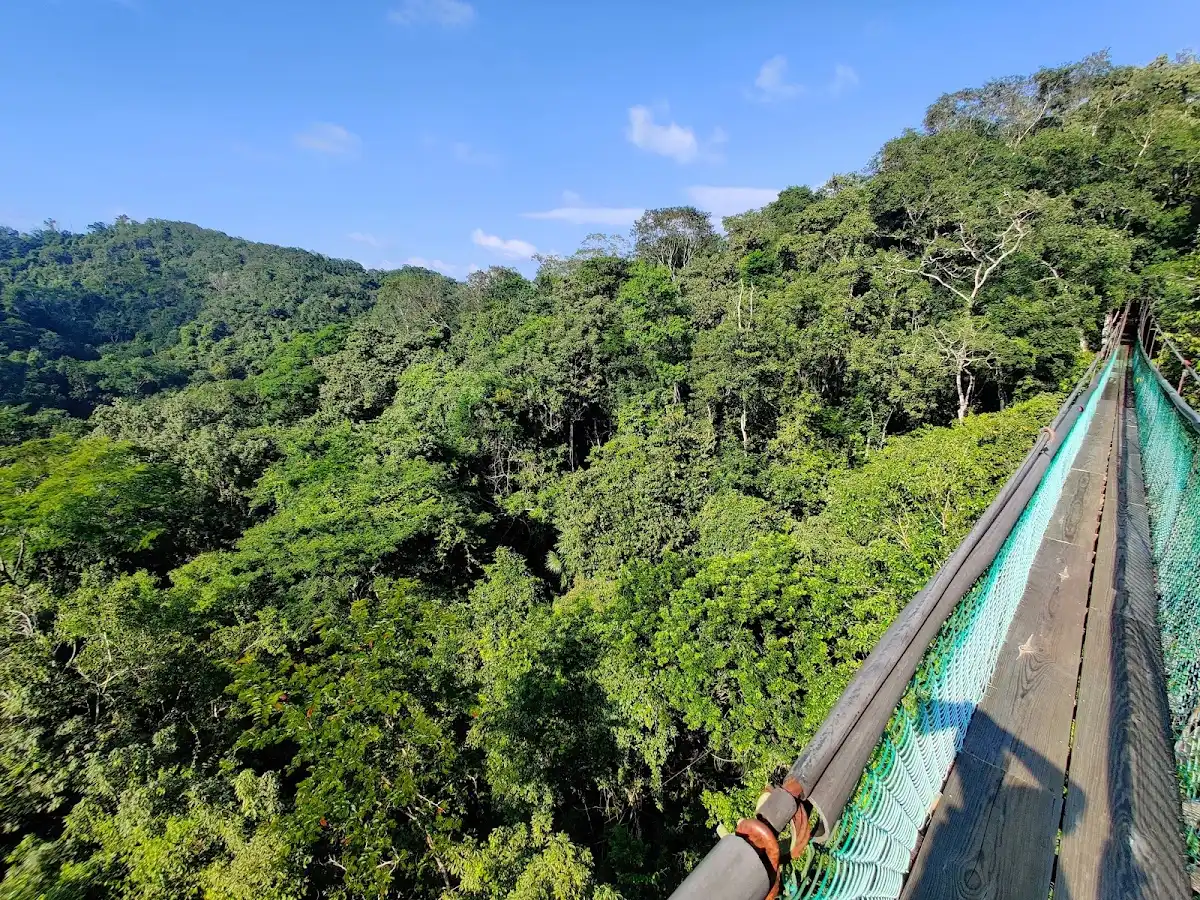 guatemala-national-park-ixpanpajul-natural-park