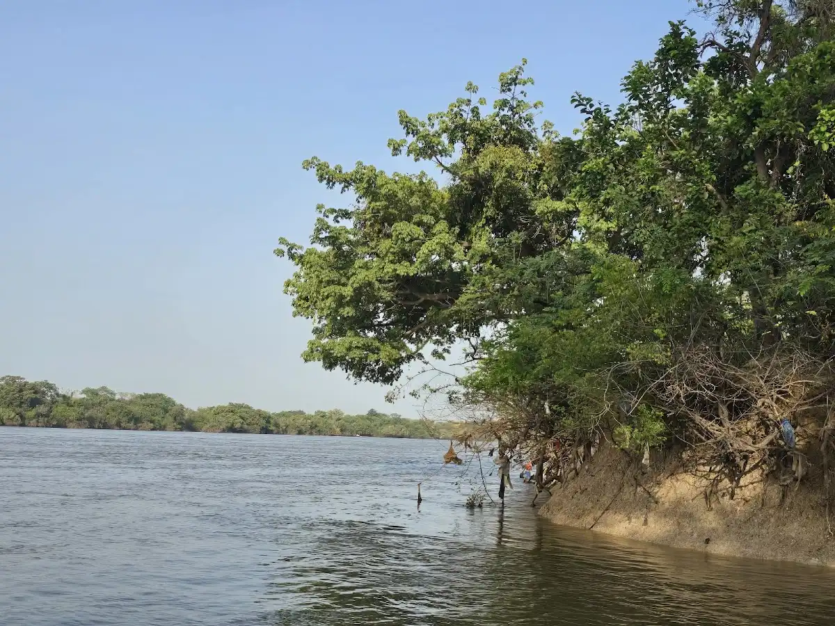 guinea-national-park-haut-niger-national-park v1