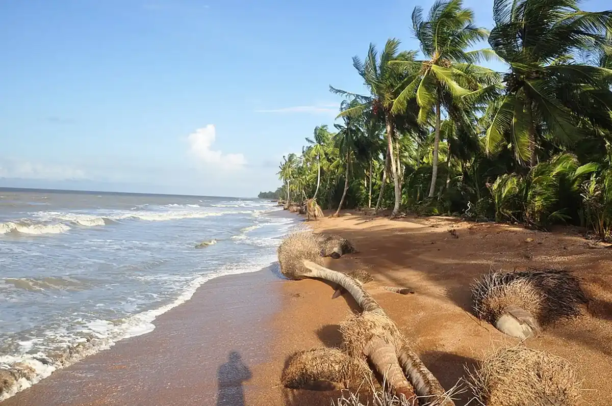 guyana-beach-shell-beach