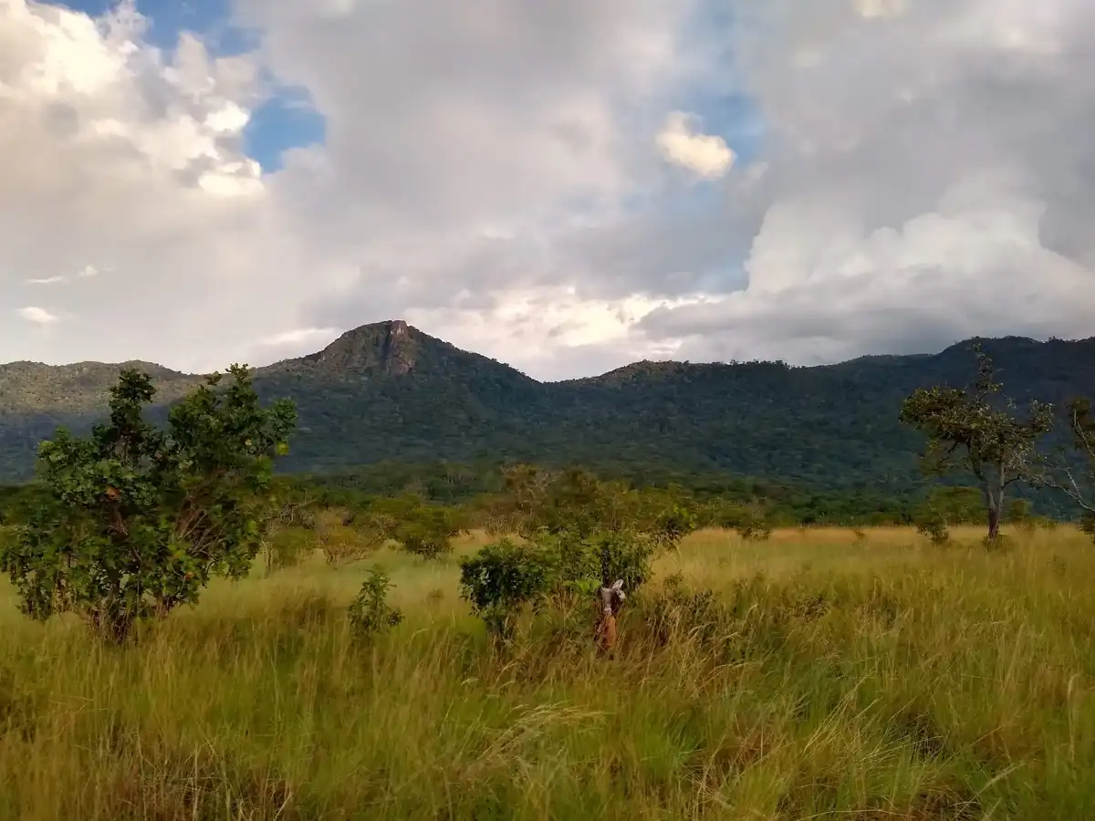 guyana-national-park-kanuku-mountains