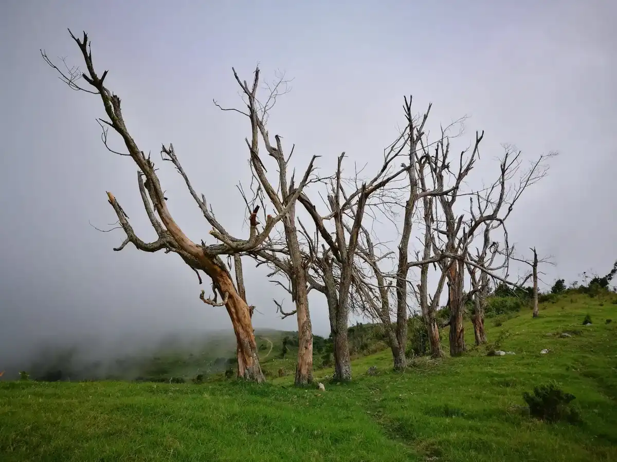 haiti-hike-pic-macaya