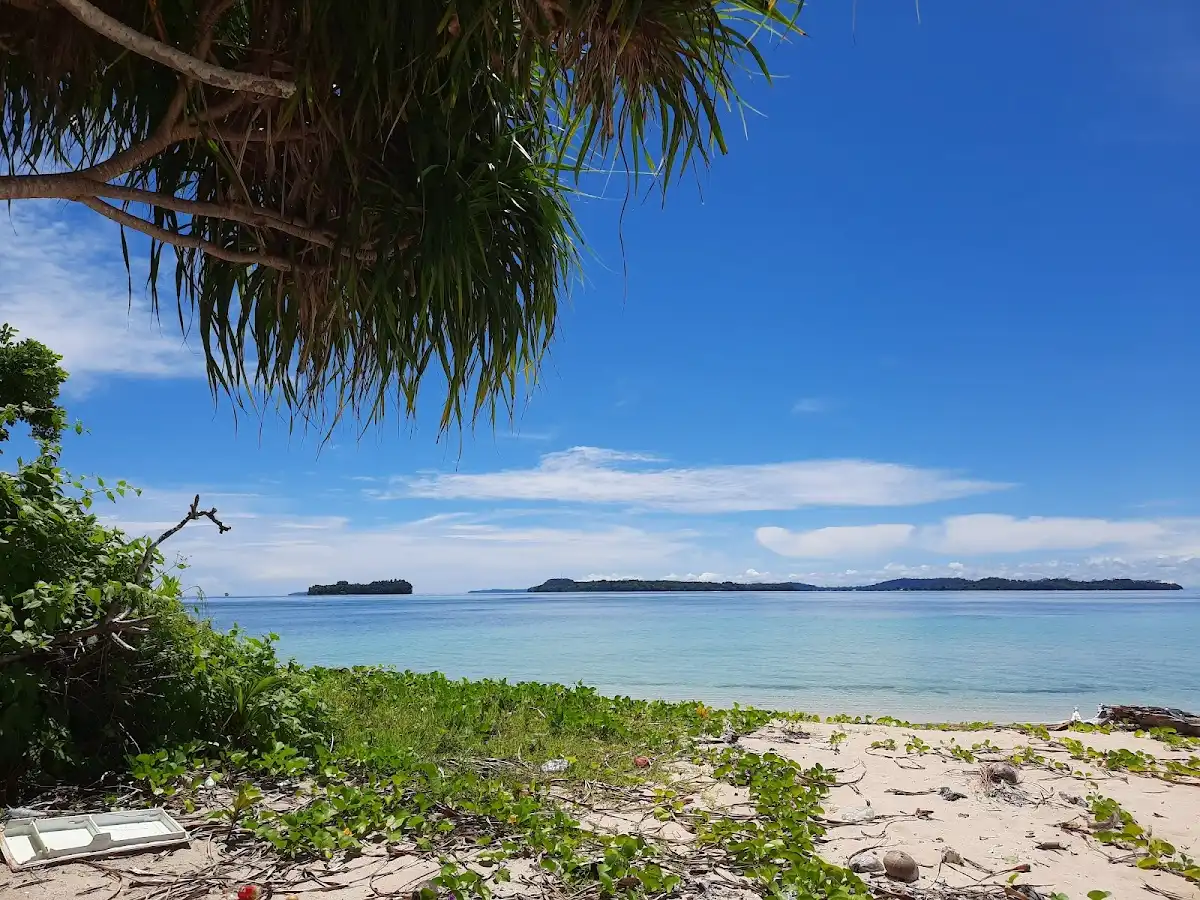 indonesia-region-papua