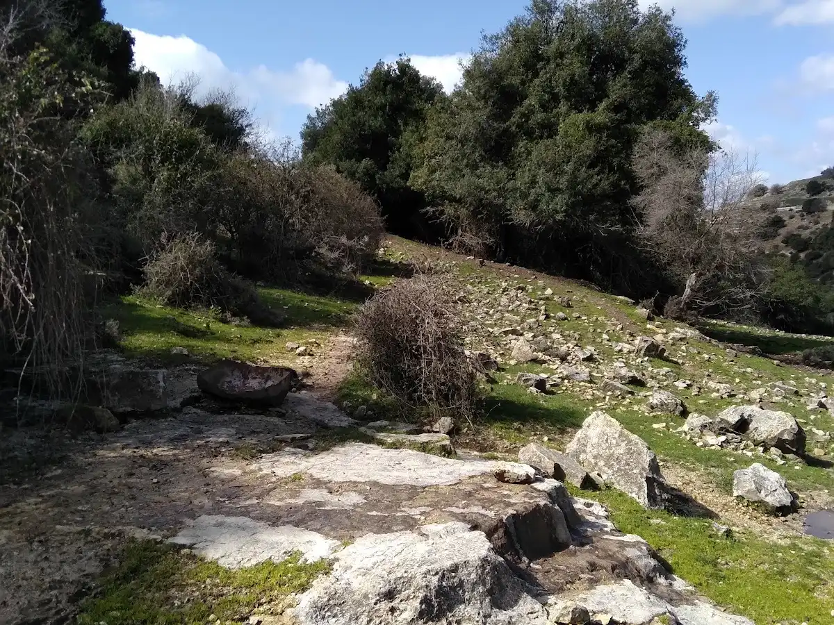 israel-national-park-mount-meron