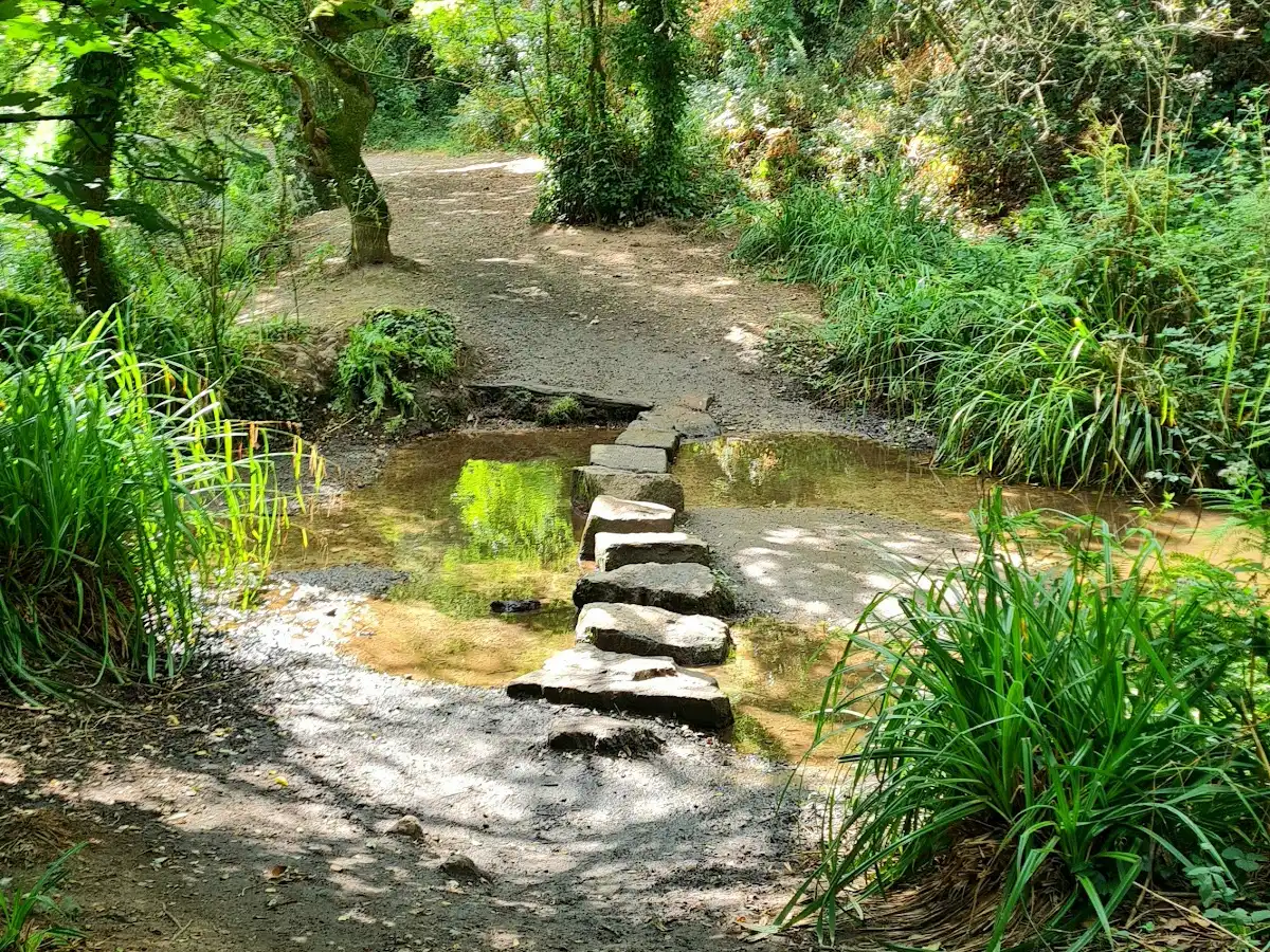 jersey-hike-st-catherines-woods-walk