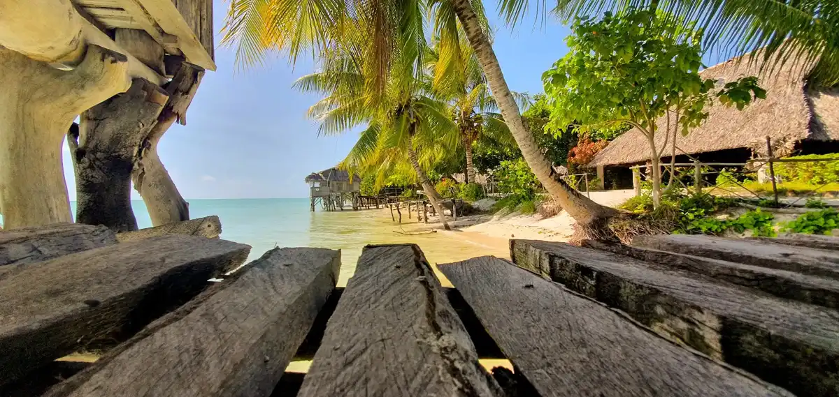 kiribati-beach-bamboo-beach