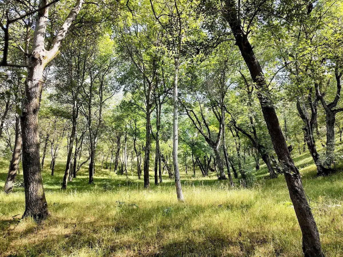 kyrgyzstan-hike-arslanbob-walnut-forest
