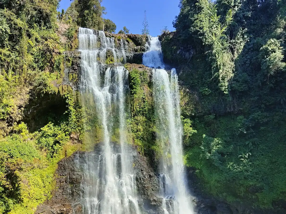 laos-national-park-dong-hua-sao-national-bio-diversity-conservation-area